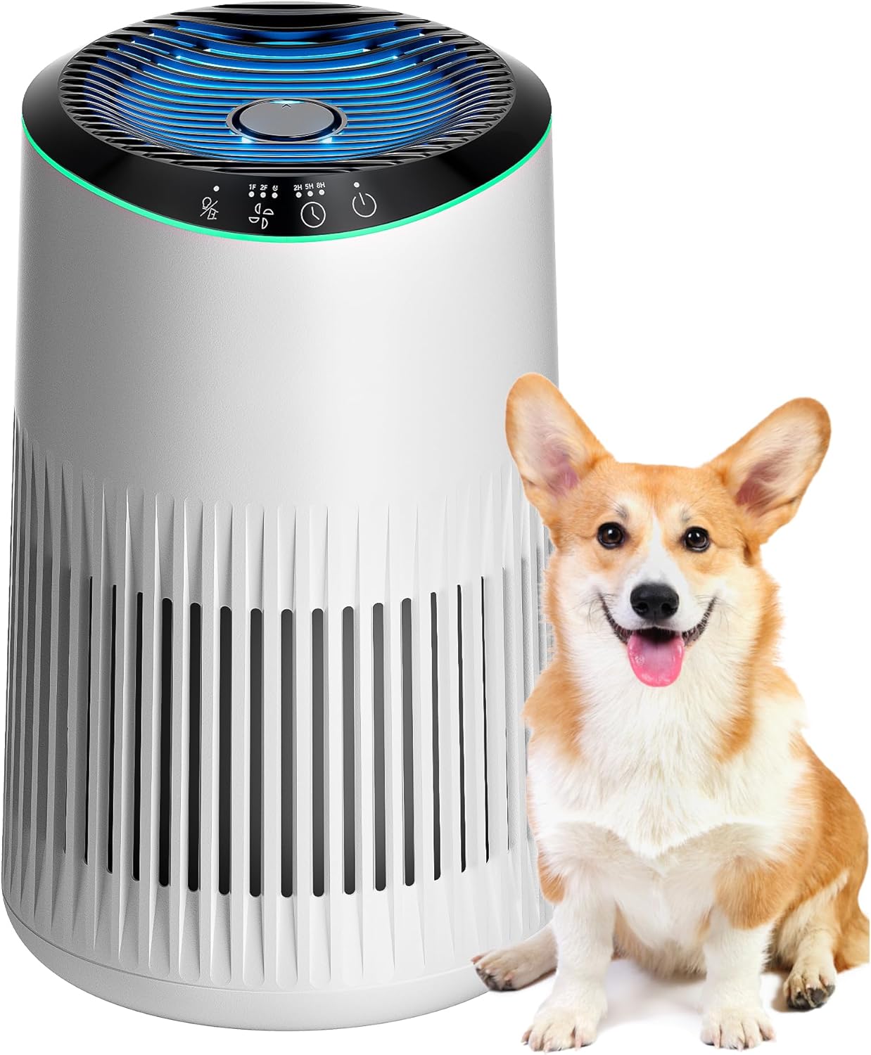 MERONTE Air Purifiers for Home, Air Purifier for Smoke Odors with Fragrance Sponge, Small Air Purifier with Sleep Mode for Bedroom Office, Blue Night Light, White, 1 Pack+3 Modes