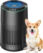 MERONTE Air Purifiers for Home, Air Purifier for Smoke Pet Dander Odors with Fragrance Sponge, Small Air Purifier with Sleep Mode for Bedroom Office, Blue Ambient Light, MR2566, Black, 1 Pack+3 Modes