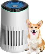 MERONTE Air Purifiers for Home, Air Purifier for Smoke Odors with Fragrance Sponge, Small Air Purifier with Sleep Mode for Bedroom Office, Blue Night Light, White, 1 Pack+3 Modes